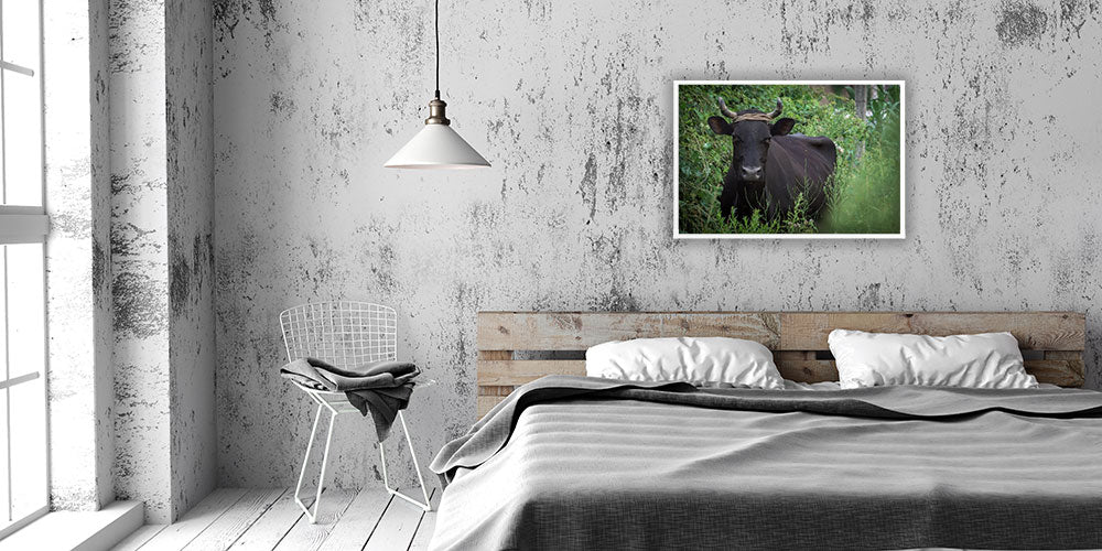 Albanien / Abenteuer #12