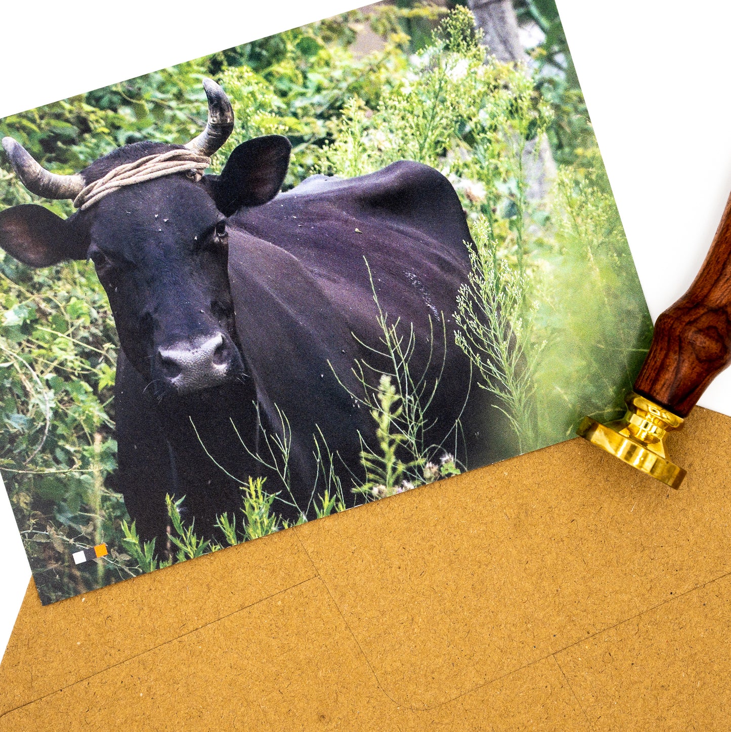 Albanien / Abenteuer #12 – Postkarte