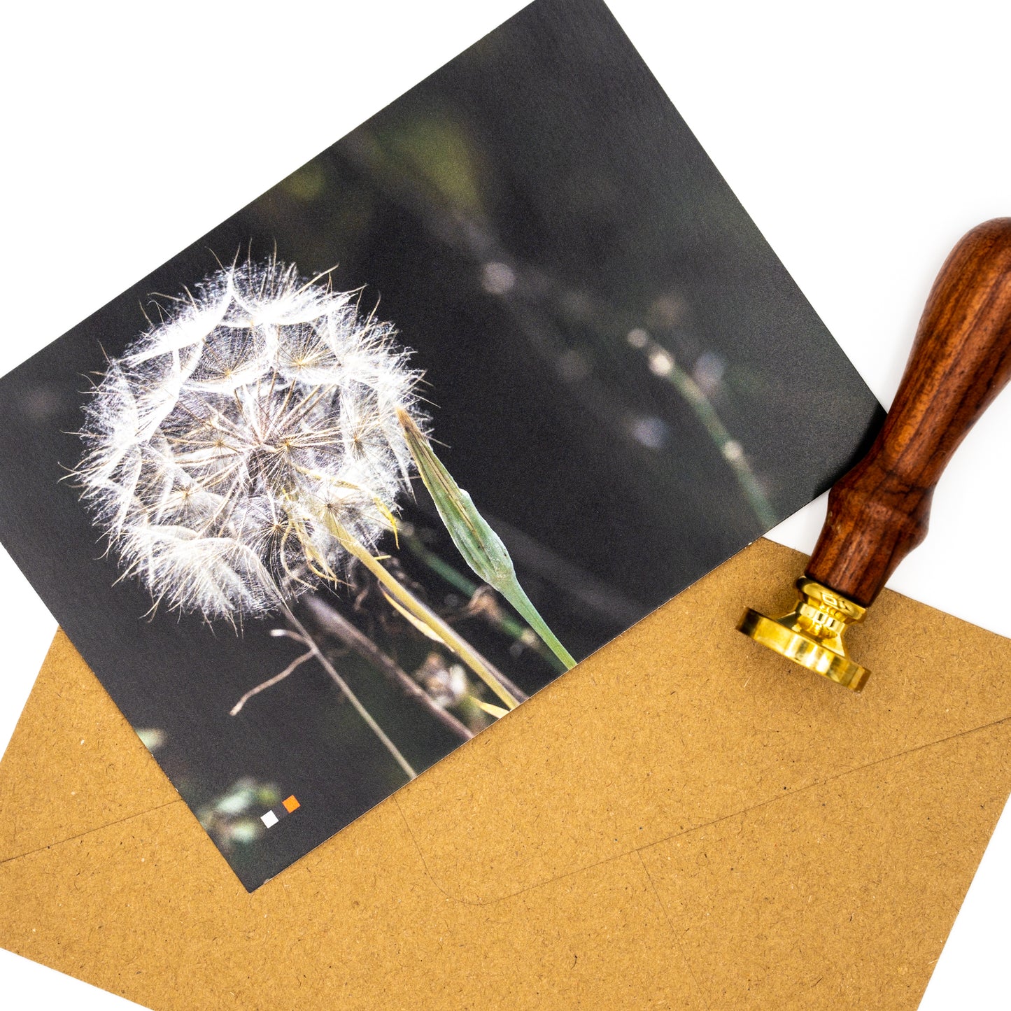 Albanien / Abenteuer #17 – Postkarte