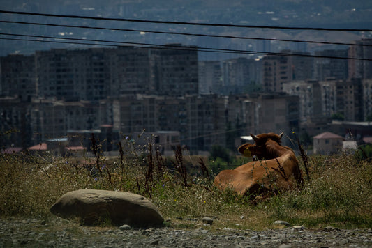 Georgien / Unikat #03