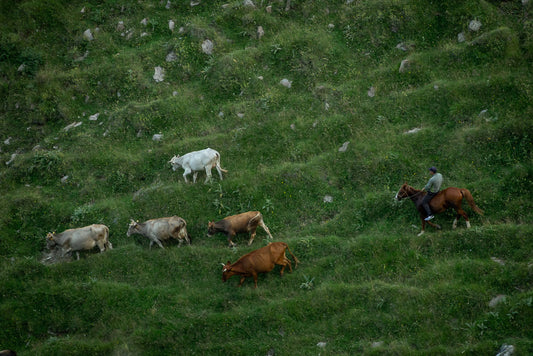 Georgien / Abenteuer #12