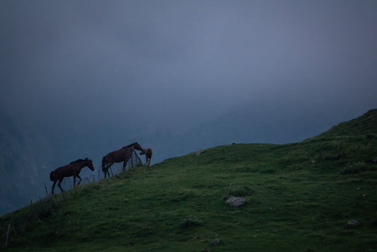 Georgien / Abenteuer #13