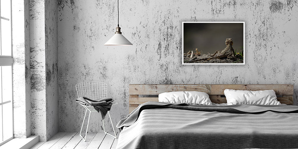 Georgien / Abenteuer #20