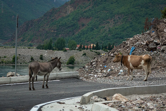 Albanien / Abenteuer #15