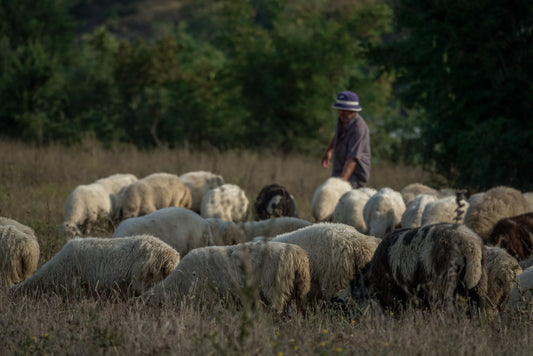 Albanien / Abenteuer #22