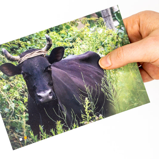 Albanien / Abenteuer #12 – Postkarte