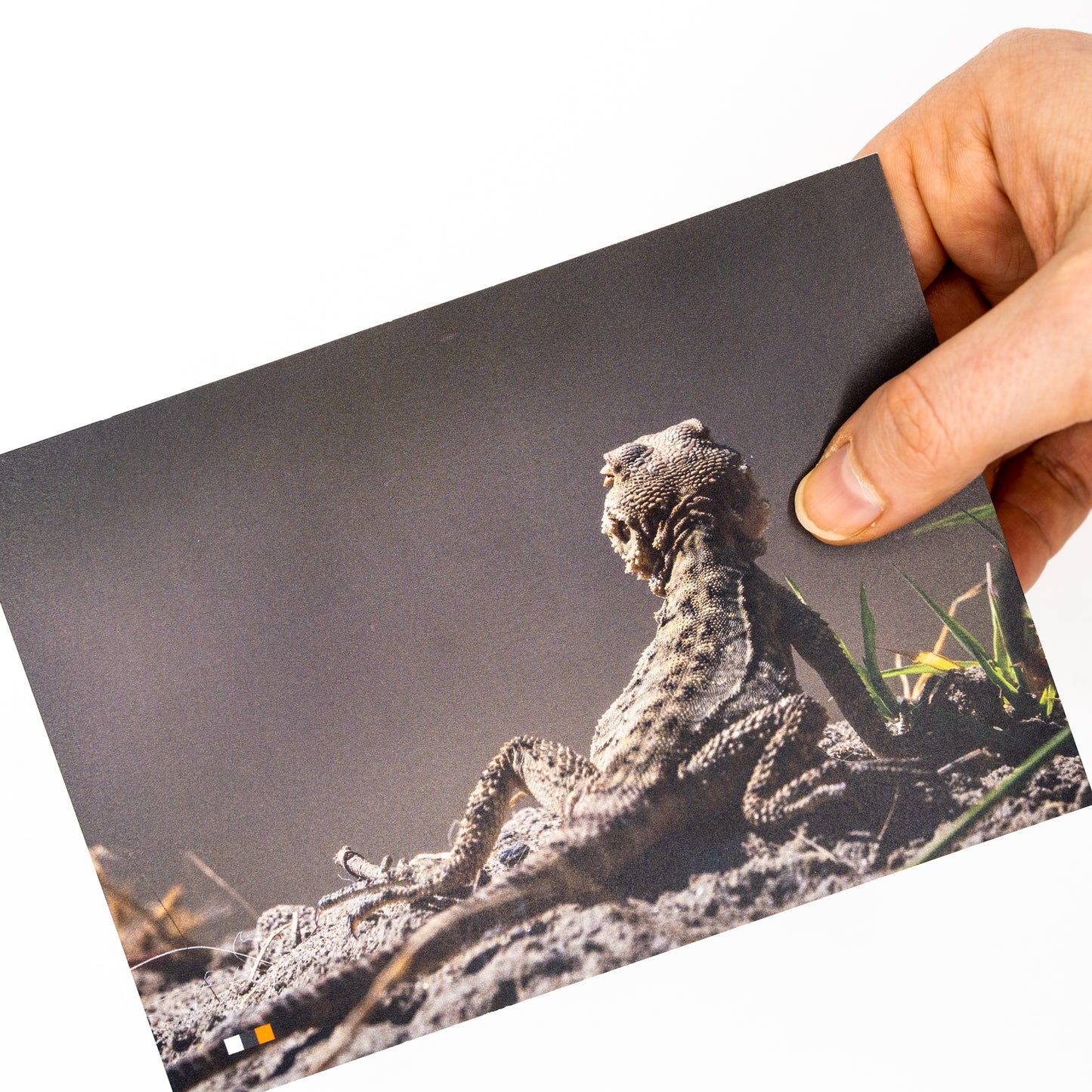 Georgien / Abenteuer #20 – Postkarte