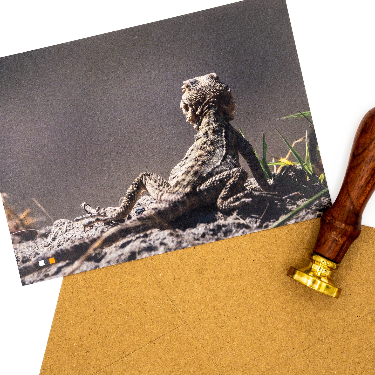 Georgien / Abenteuer #20 – Postkarte