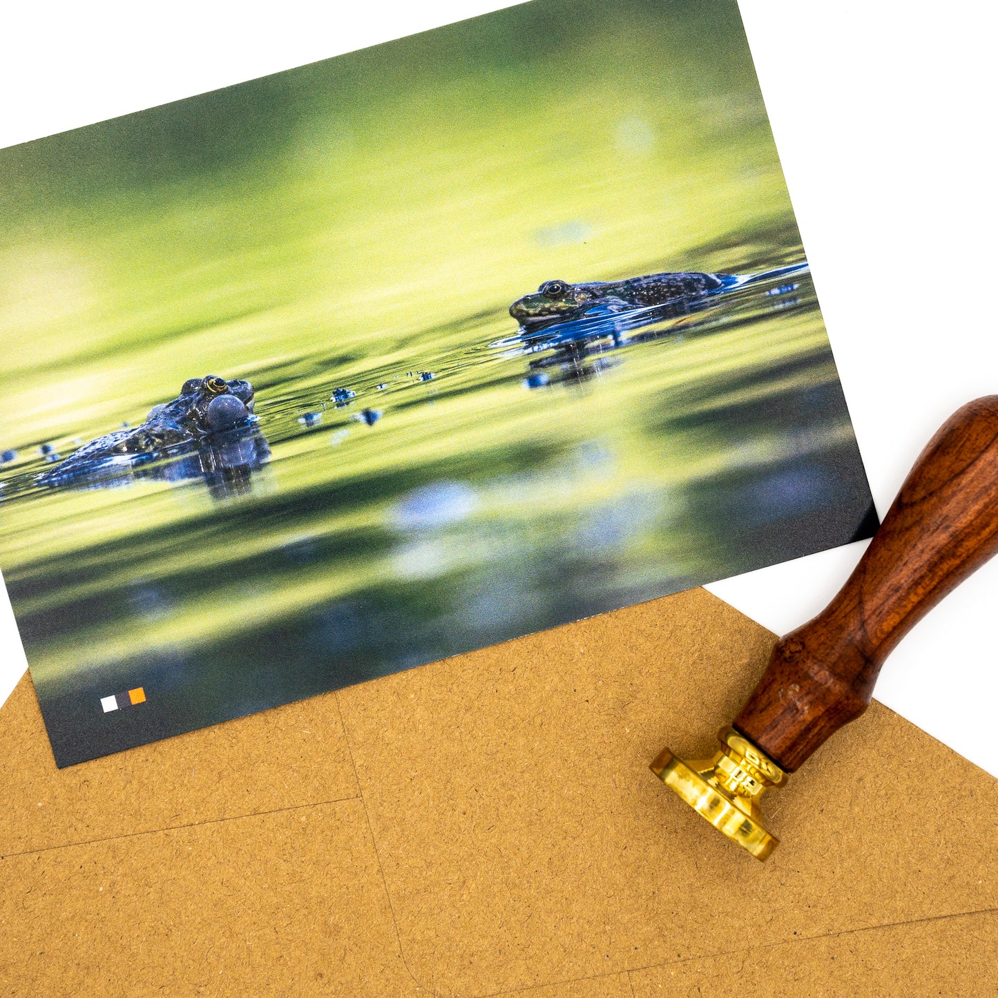 Österreich / Abenteuer #21 – Postkarte